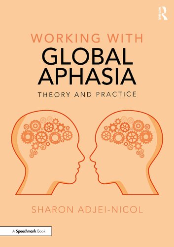 Working With Global Aphasia Theory And Practice Sharon Adjeinicol