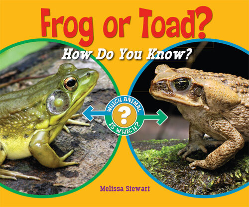 Frog Or Toad Melissa Stewart