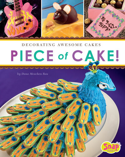 Piece Of Cake Decorating Awesome Cakes Dana Meachen Rau