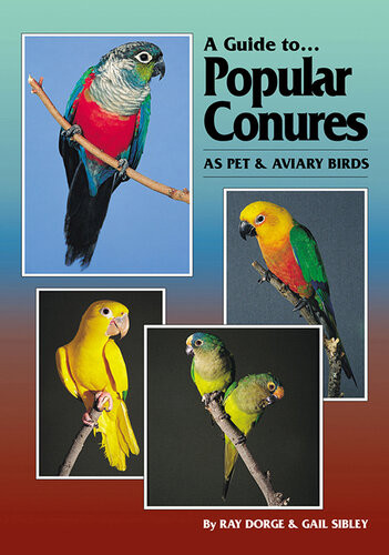 A Guide To Popular Conures As Pet And Aviary Birds Ray Dorge Gail Sibley