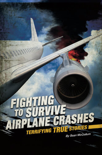 Fighting To Survive Airplane Crashes Terrifying True Stories Sean Mccollum