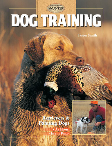 Dog Training Retrievers And Pointing Dogs Jason Smith
