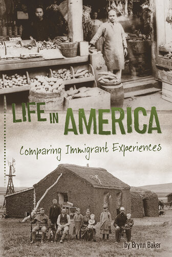 Life In America Comparing Immigrant Experiences Brynn Baker