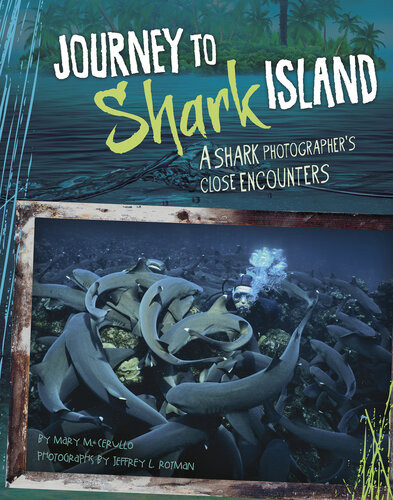 Journey To Shark Island A Shark Photographers Close Encounters Mary M Cerullo