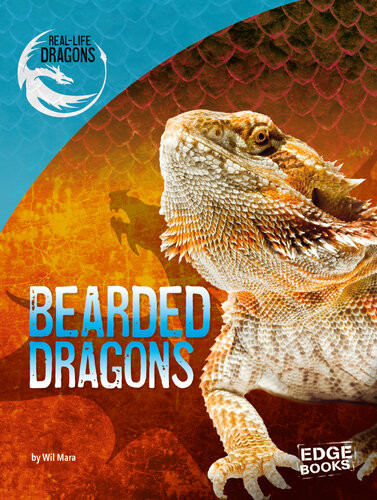 Bearded Dragons Wil Mara