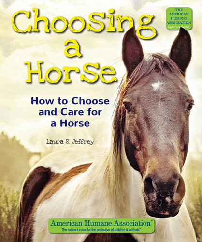 Choosing A Horse Laura S Jeffrey