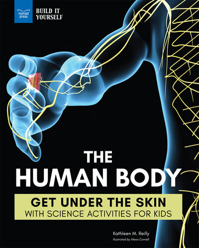 The Human Body Get Under The Skin With Science Activities For Kids Kathleen M Reilly