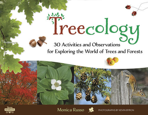 Treecology 30 Activities And Observations For Exploring The World Of Trees And Forests Monica Russo Monica Russo Kevin Byron Kevin Byron