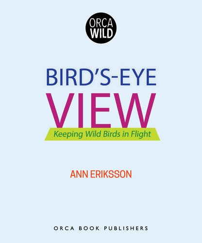 Birdseye View Ann Eriksson