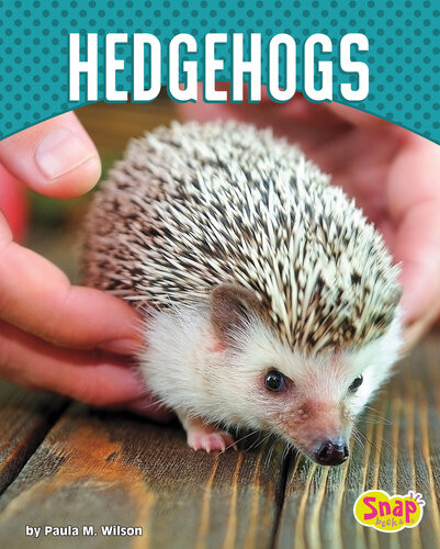 Hedgehogs Paula M Wilson
