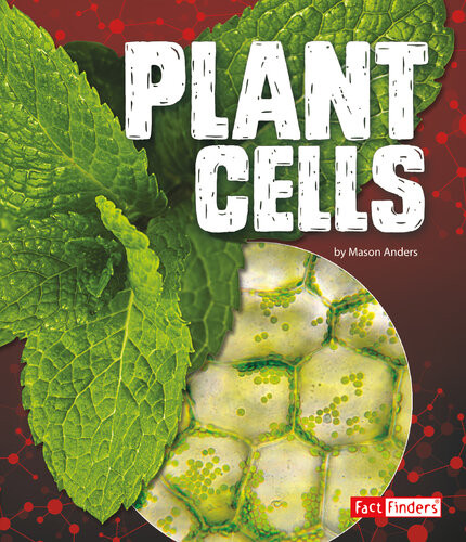 Plant Cells Mason Anders