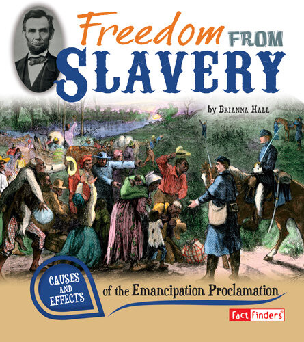 Freedom From Slavery Causes And Effects Of The Emancipation Proclamation Brianna Hall