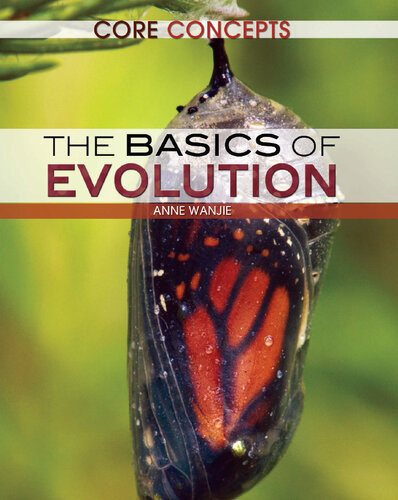 The Basics Of Evolution Anne Wanjie