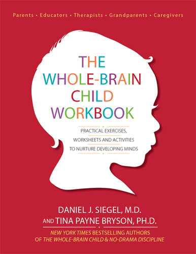 The Wholebrain Child Workbook Daniel J Siegel Tina Payne Bryson