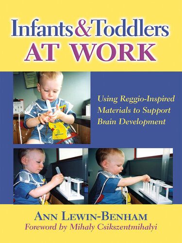Infants And Toddlers At Work Using Reggioinspired Materials To Support Brain Development Ann Lewinbenham