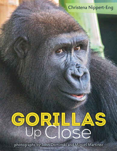 Gorillas Up Close Christena Nipperteng