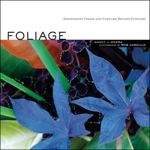 Foliage Astonishing Color And Texture Beyond Flowers Nancy J Ondra