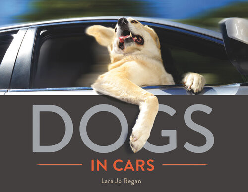 Dogs In Cars Lara Jo Regan