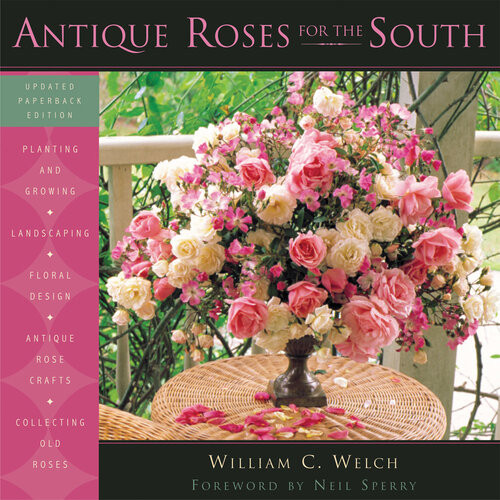 Antique Roses For The South William C Welch