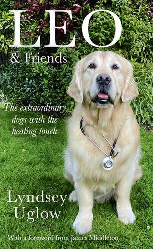 Leo Friends The Dogs With A Healing Touch Lyndsey Uglow