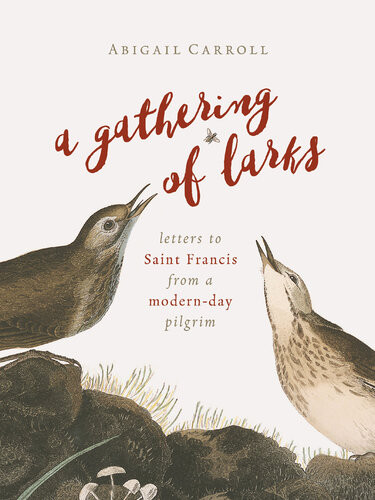 A Gathering Of Larks Letters To Saint Francis From A Modernday Pilgrim Abigail Carroll