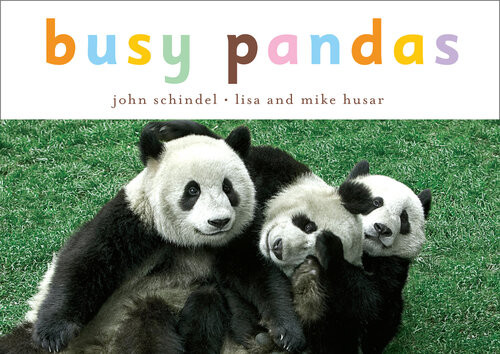 Busy Pandas John Schindel