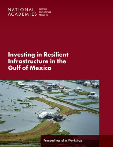 Investing In Resilient Infrastructure In The Gulf Of Mexico Proceedings Of A Workshop Micah Lowenthal