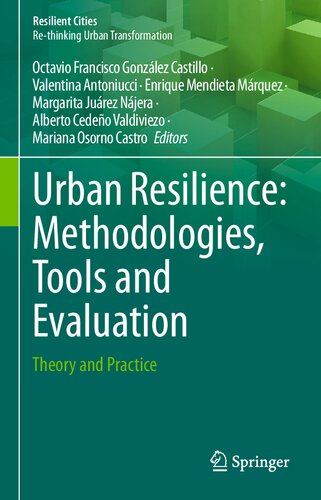 Urban Resilience Methodologies Tools And Evaluation Theory And Practice Octavio Francisco Gonzlez Castillo