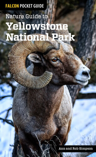 Nature Guide To Yellowstone National Park Ann Simpson Rob Simpson