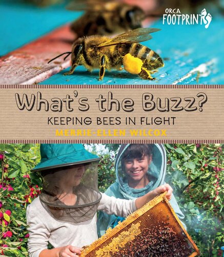 Whats The Buzz Keeping Bees In Flight Merrieellen Wilcox