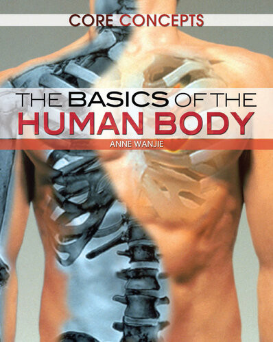 The Basics Of The Human Body Anne Wanjie