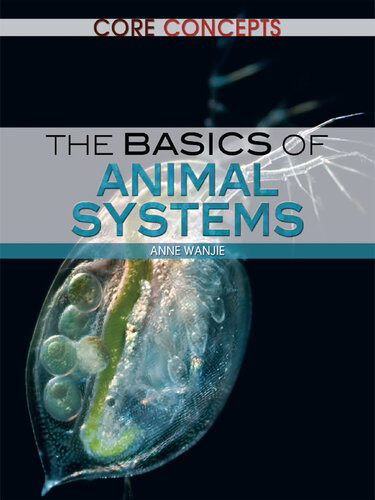 The Basics Of Animal Systems Anne Wanjie