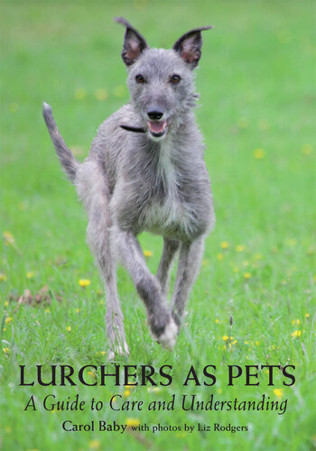 Lurchers As Pets A Guide To Care And Understanding Carol Baby