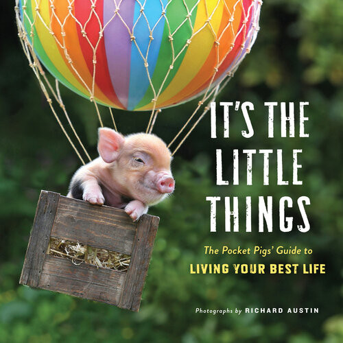 Its The Little Things The Pocket Pigs Guide To Living Your Best Life Inspiration Book Gift Book Life Lessons Mini Pigs Richard Austin
