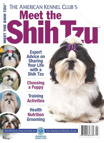Meet The Shih Tzu American Kennel Club