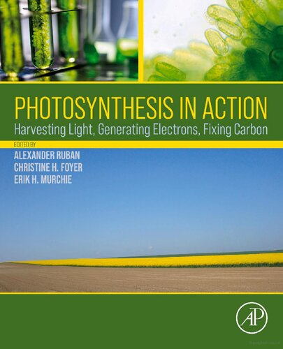 Photosynthesis In Action Harvesting Light Generating Electrons Fixing Carbon 1st Edition Alexander Ruban Editor