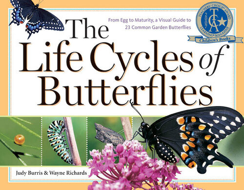 The Life Cycles Of Butterflies From Egg To Maturity A Visual Guide To 23 Common Garden Butterflies Judy Burris Wayne Richards