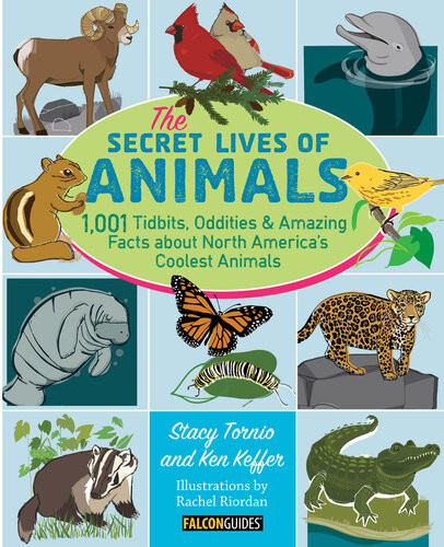 The Secret Lives Of Animals 1001 Tidbits Oddities And Amazing Facts About North Americas Coolest Animals Stacy Tornio Ken Keffer
