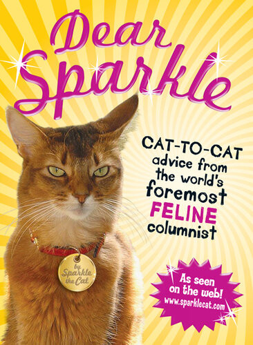 Dear Sparkle Cattocat Advice Sparkle The Cat
