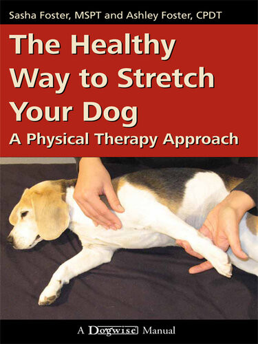 The Healthy Way To Stretch Your Dog A Physical Therapy Approach Sasha Foster Ashley Foster
