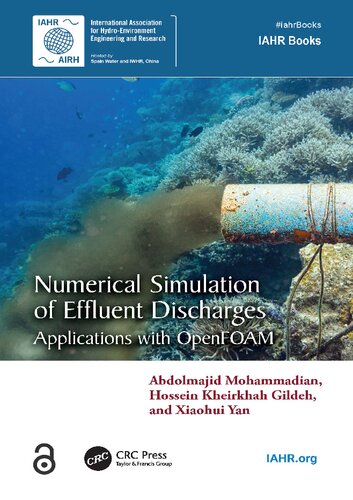 Numerical Simulation Of Effluent Discharges Applications With Openfoam Hossein Kheirkhah Gildeh