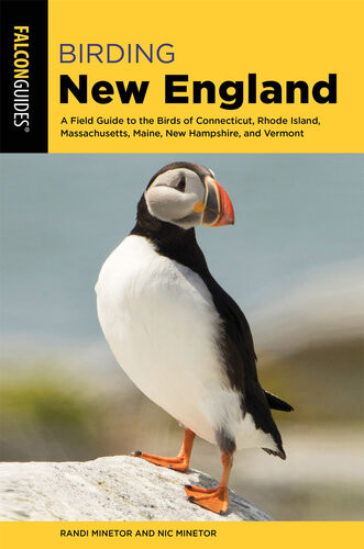 Birding New England Randi Minetor Nic Minetor
