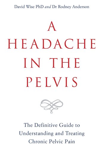 A Headache In The Pelvis The Definitive Guide To Understanding And Treating Chronic Pelvic Pain David Wise
