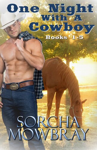 One Night With A Cowboy Books 15 Sorcha Mowbray