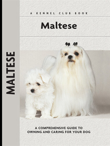 Maltese Juliette Cunliffe