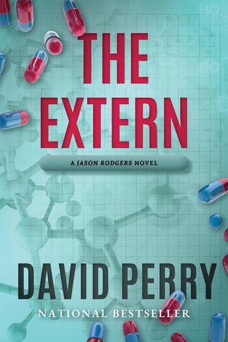 The Extern A Jason Rodgers Novel David Perry