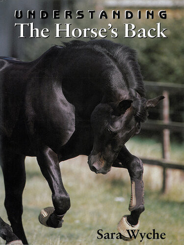 Understanding The Horses Back Sara Wyche