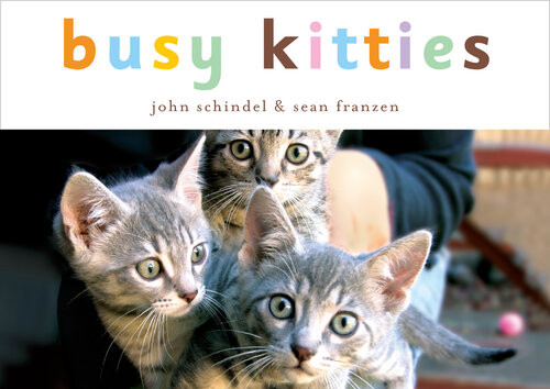 Busy Kitties John Schindel Sean Franzen