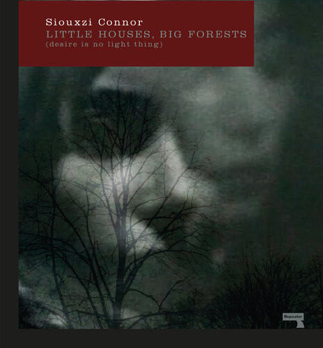 Little Houses Big Forests Desire Is No Light Thing Siouxzi Mernagh