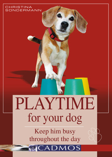 Playtime For Your Dog Keep Him Busy Throughout The Day Christina Sondermann